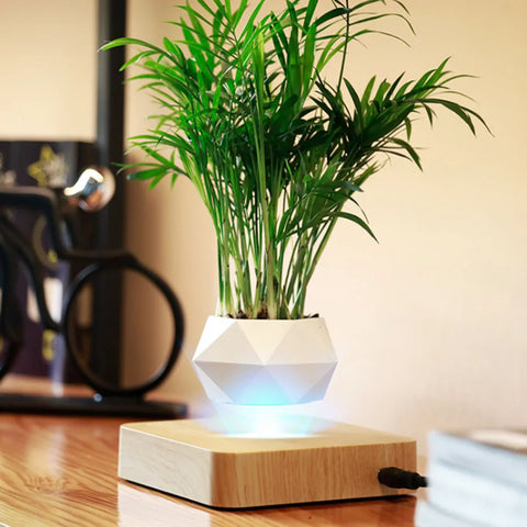 Levitating Air Bonsai Pot Rotation Flower Pot Planters | Magnetic Suspension Floating Pot Potted Plant Home Without plants