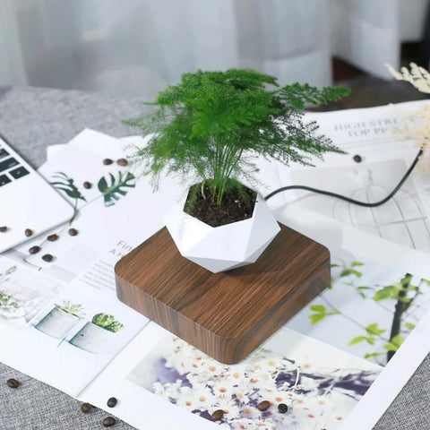 Levitating Air Bonsai Pot Rotation Flower Pot Planters | Magnetic Suspension Floating Pot Potted Plant Home Without plants